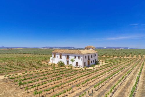 Cortijo Don Cristobal — hotel in Mollina
