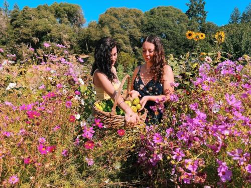 The Land Luxury Retreat Center In Beautiful Nature Bay Area Northern California — Philo