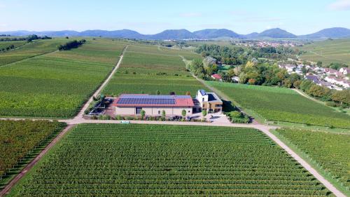 Vögelis WeinNest in Landau In Der Pfalz, Germany