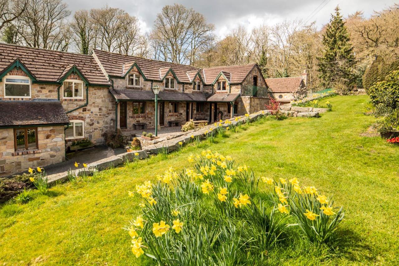 Nant Ucha Farm in Saint Asaph, United Kingdom