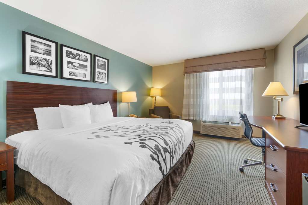 Sleep Inn & Suites Rapid City - photo 11