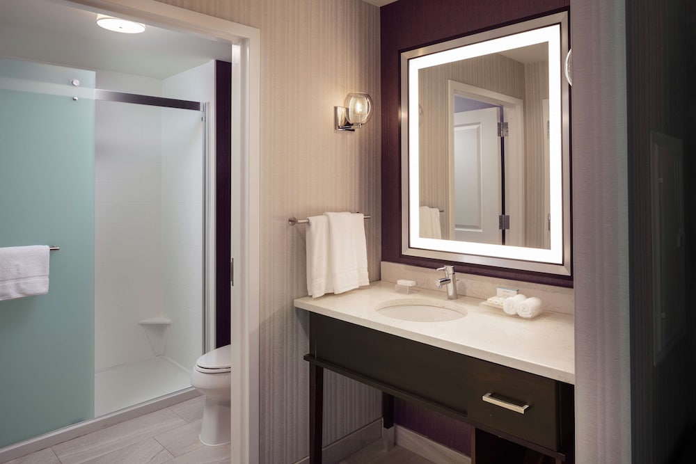 Homewood Suites by Hilton Needham Boston - photo 28