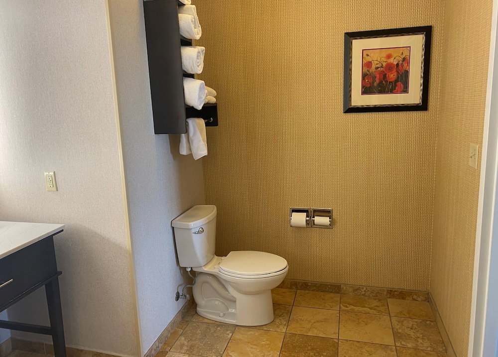 Homewood Suites by Hilton DecaturForsyth - photo 26
