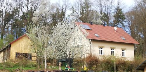 Ferienhaus Rötzer Forsthausschmankerl mit Sauna Whirlpool und Grill pet-friendly hotel Bruck In Der Oberpfalz