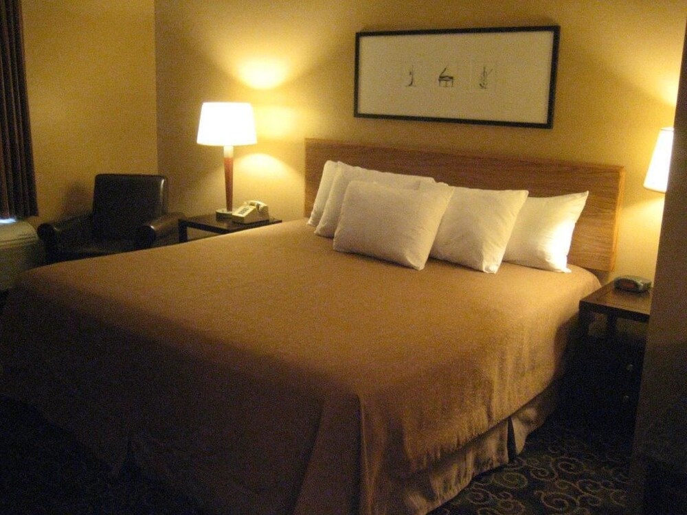 Pine View Resort - photo 9