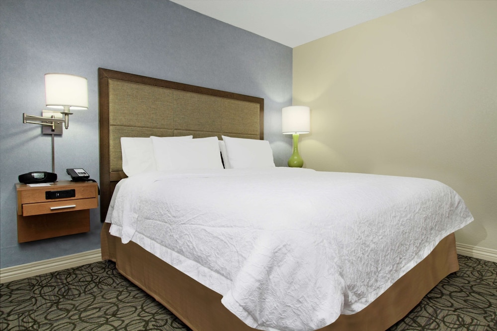 Hampton Inn Austin Airport Area South - photo 8