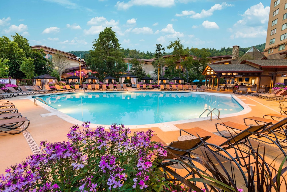 Harrah's Cherokee A Caesars Rewards Destination - photo 25