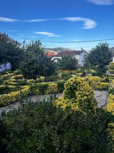 Casa Teles — 4-Star Luxury Hotel in Peso Da Regua, Portugal