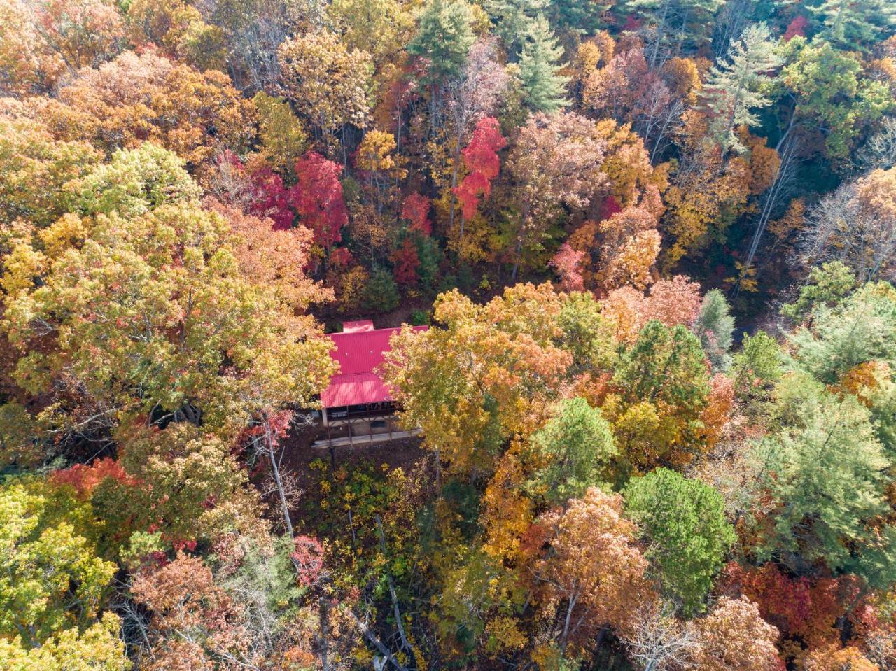 Smokies Overlook Lodge - photo 28