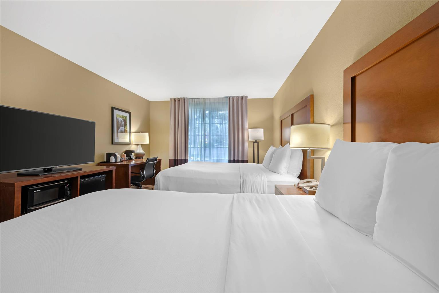 Comfort Inn & Suites Carbondale on the Roaring Fork - photo 36