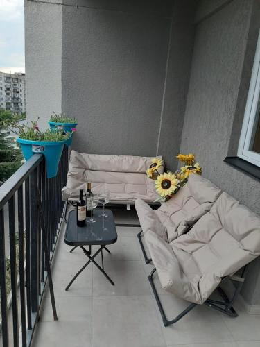 Two Bedroom Apartment in Tbilisi
