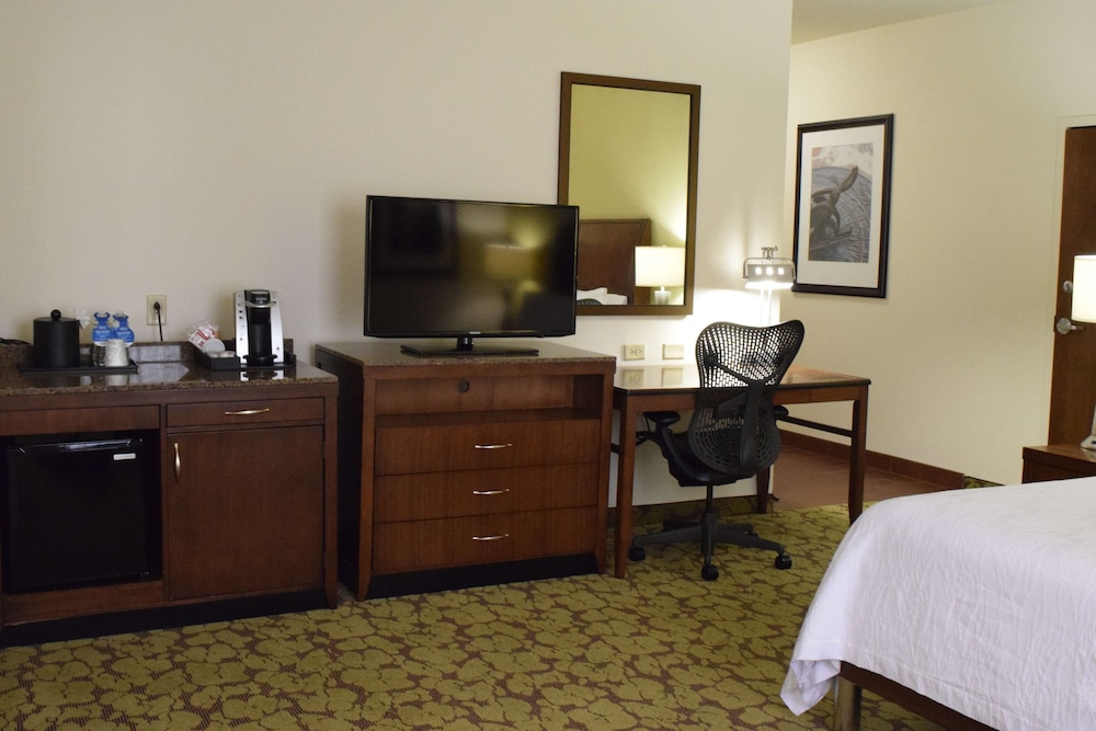 Hilton Garden Inn Rochester Downtown NY - photo 29