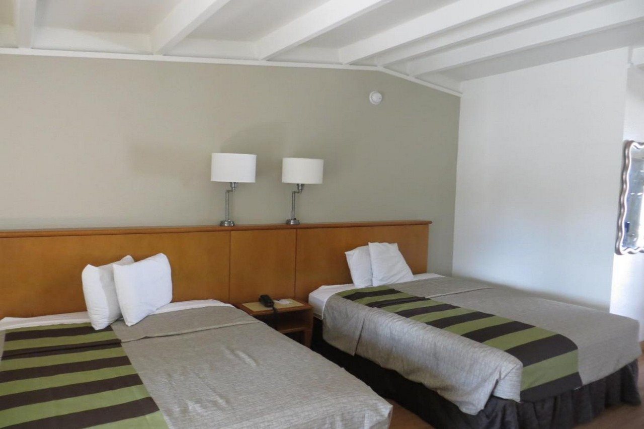 Clearwater Hotel - photo 7