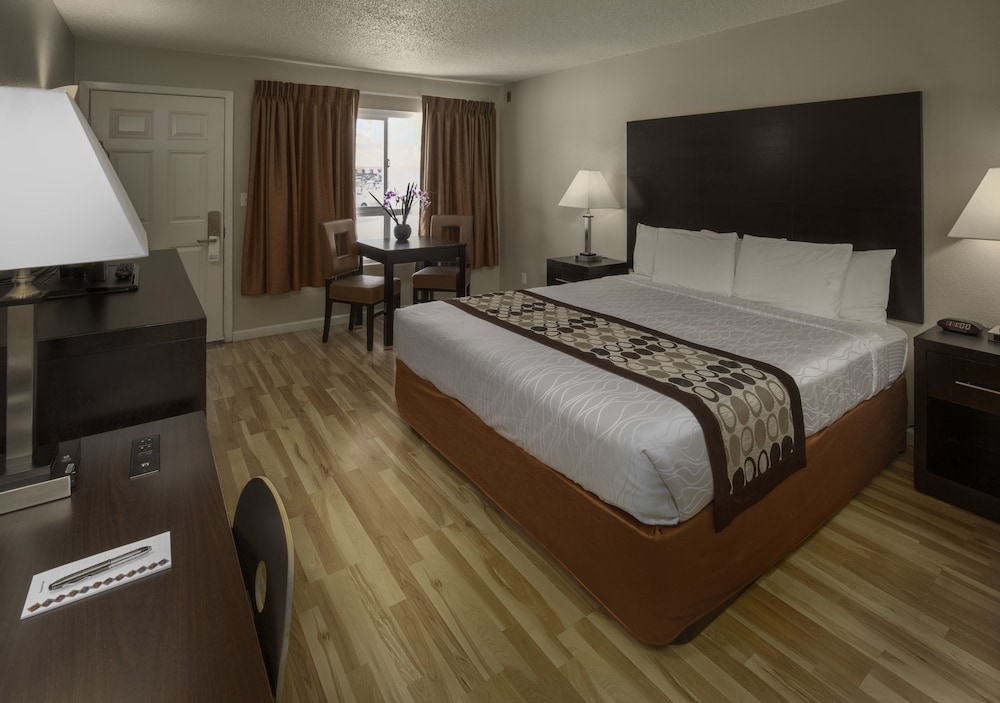 Thunderbird Lodge - photo 12