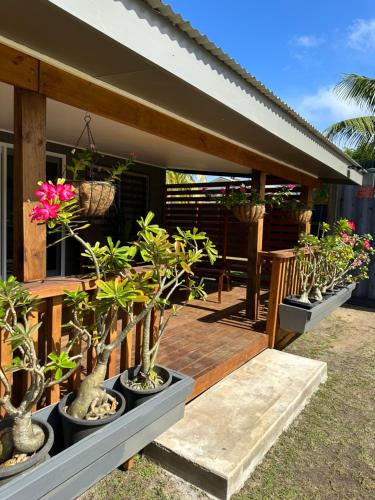Rangiriri Vacay Unit 2 — Unknown City