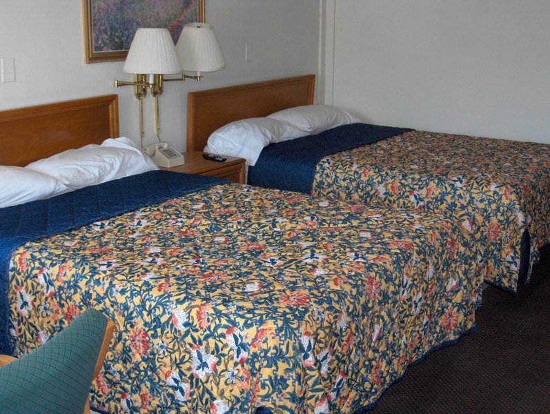 Executive Inn Jacksonville - photo 7