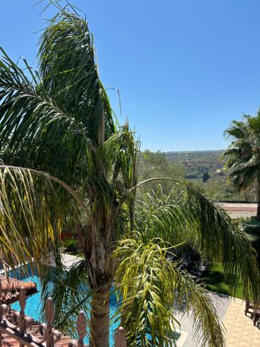 Valencia Grove Villa