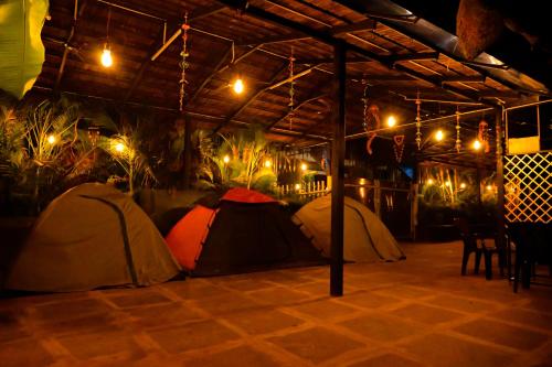 Dandeli Resorts Booking — Dandeli