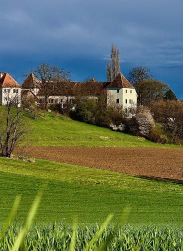 Schloss Welsdorf — Fuerstenfeld — photo 5