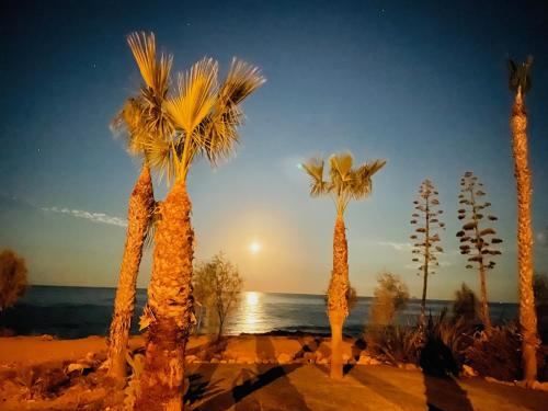 Zoe's villa by Turtle Bay — 4-Star Luxury Hotel in Protaras, Cyprus