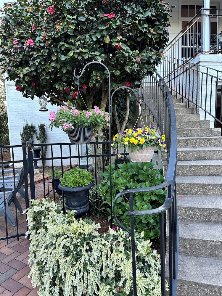 The Holly and Ivy Inn - photo 62