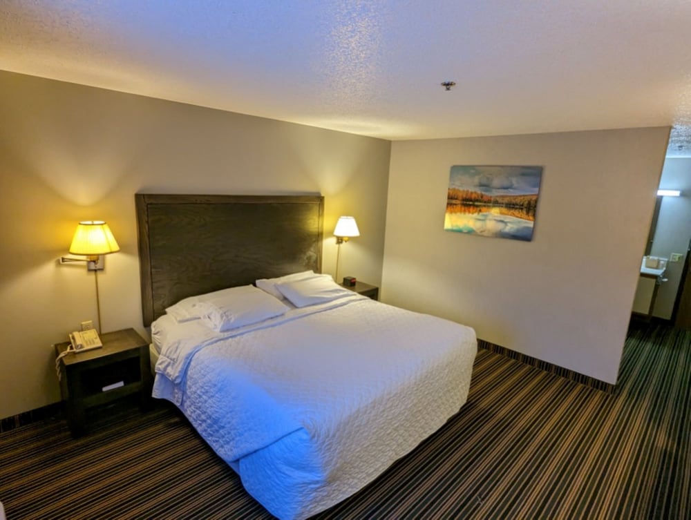 Woodfield Inn and Suites - photo 11