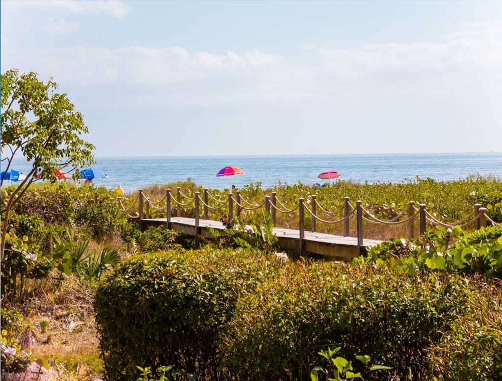 Coquina 2A - photo 17