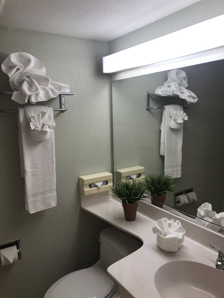Vista Inn Lake Tarpon - photo 33
