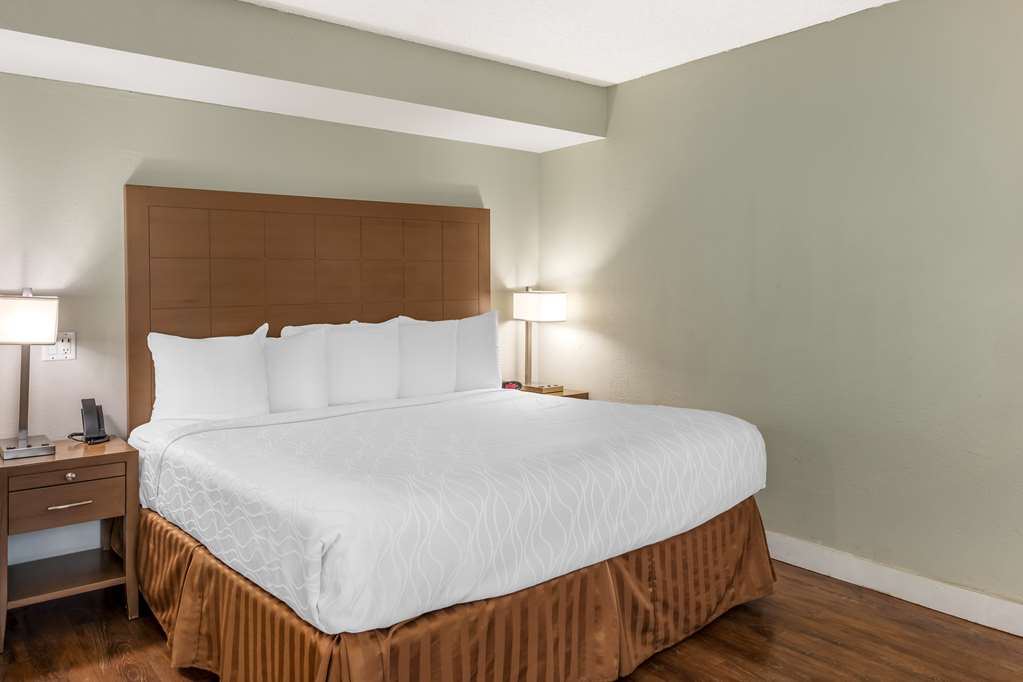 Best Western Inn at Palm Springs - photo 20
