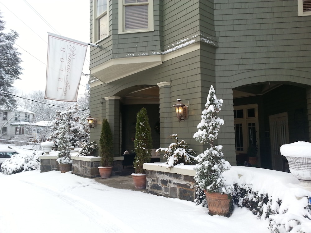 Princess Anne Boutique Hotel - photo 53