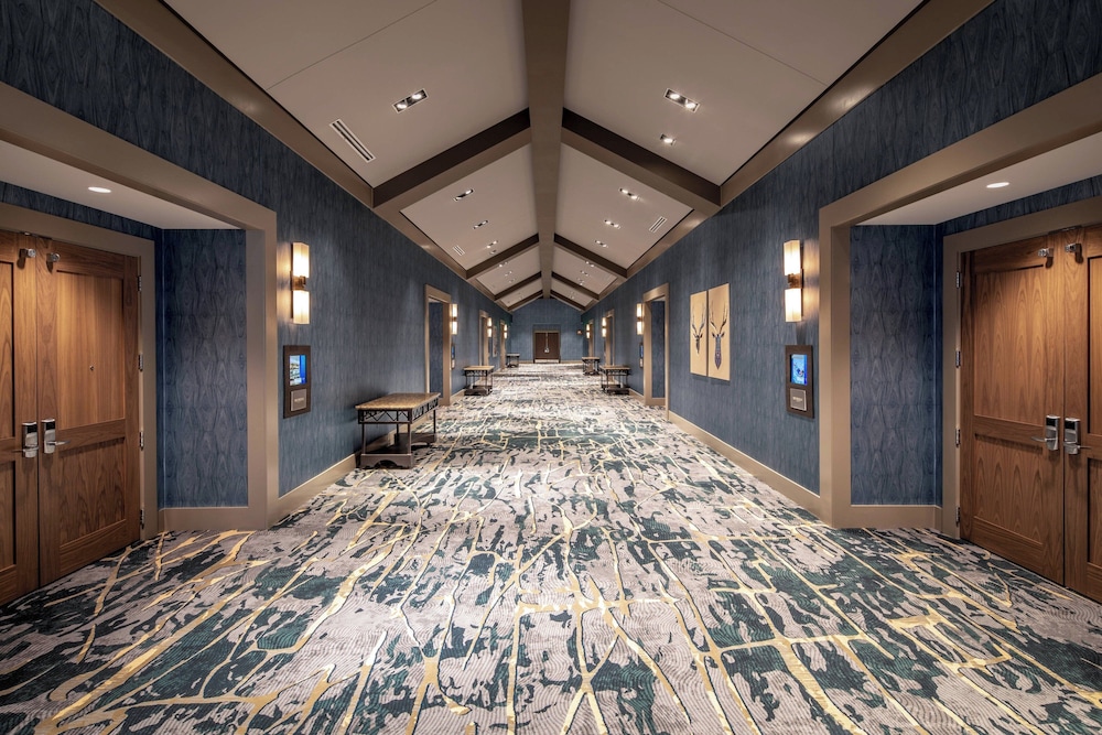 Gaylord Rockies Resort & Convention Center - photo 82