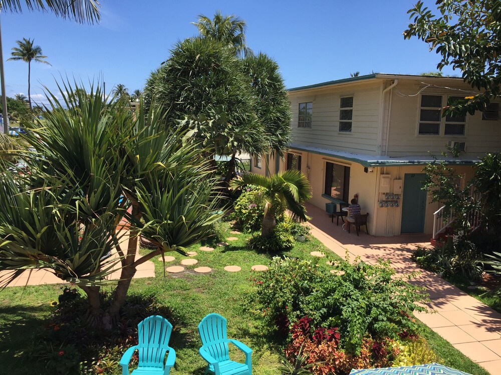 Sea Cove Resort Motel - photo 33
