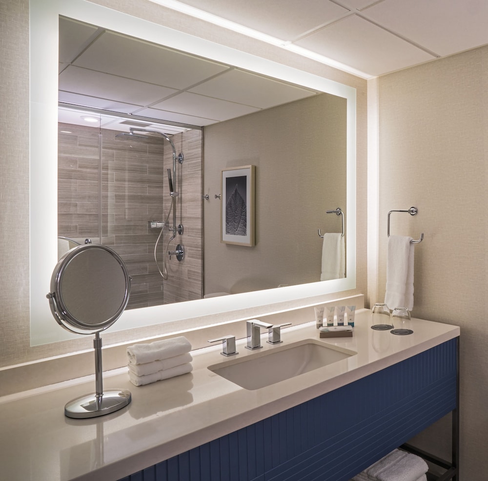 The Westin Oaks Houston at the Galleria - photo 35