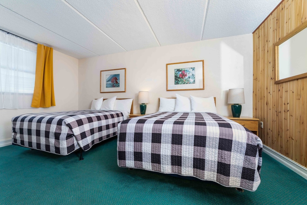 Steinhatchee River Inn - photo 13