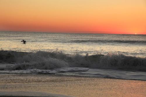Carolina Rose by Carolina Beach Realty — Kure Beach — photo 2