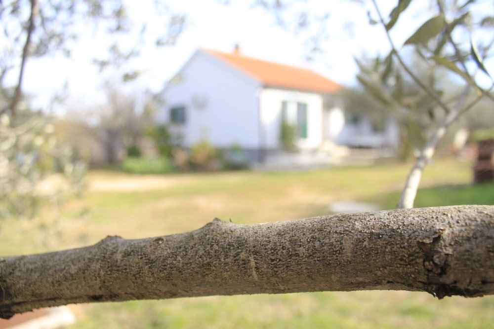 Pavica K H in Pasman, Croatia