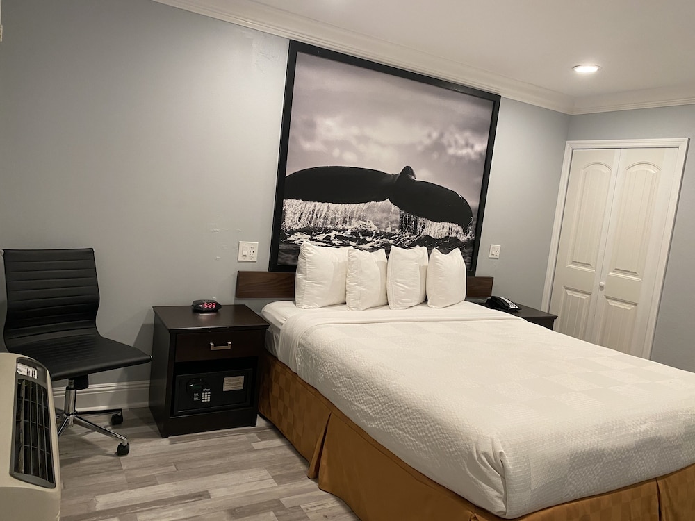Aura Inn Monterey - photo 22