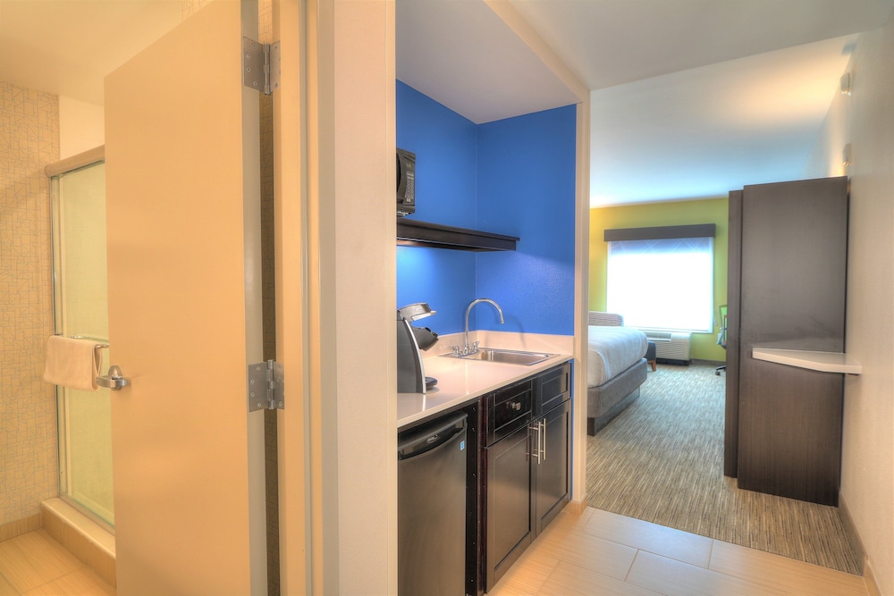 Holiday Inn Express Hotel & Suites Mobile Saraland by IHG - photo 29