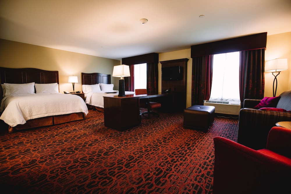 Hampton Inn & Suites Minot Airport - photo 15