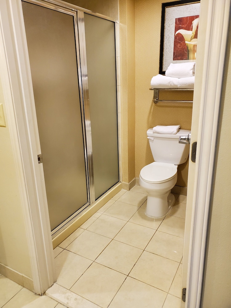 Homewood Suites by Hilton Laredo at Mall del Norte - photo 23