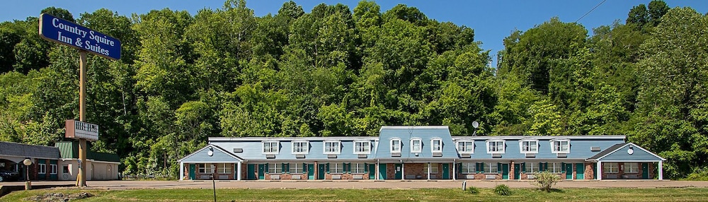 Country Squire Inn & Suites - photo 33