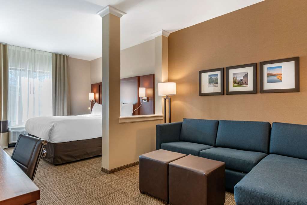 Comfort Suites Camp Hill Harrisburg West - photo 8