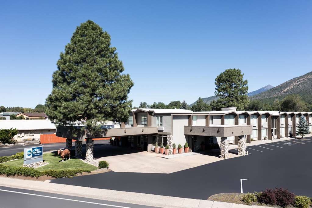 Best Western Pony Soldier Inn & Suites - photo 10