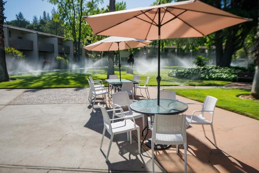 Los Gatos Lodge - photo 20