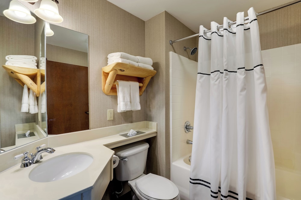 Stoney Creek Hotel St. Joseph - photo 30