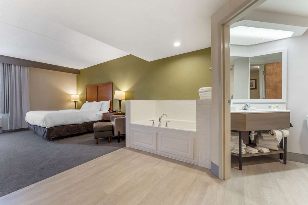 Comfort Inn & Suites LaVale Cumberland - photo 26