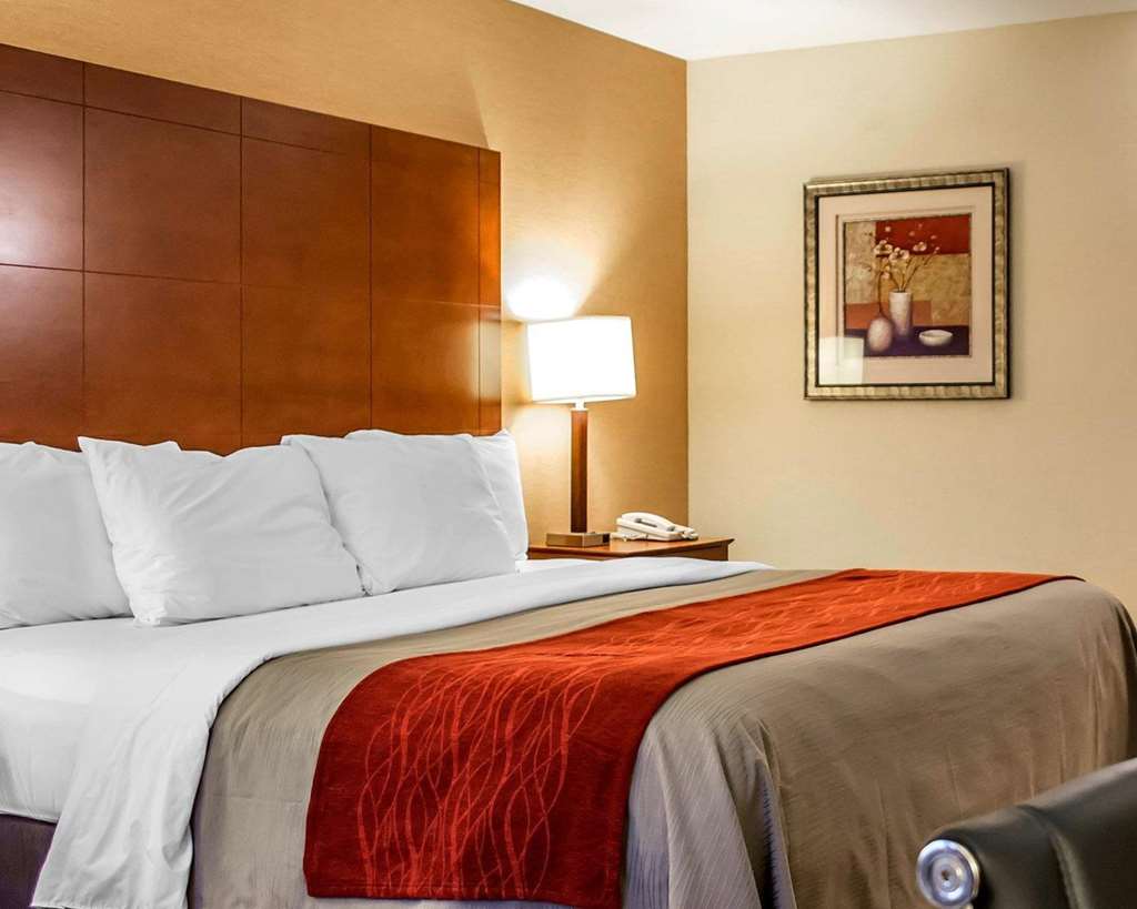 Comfort Inn & Suites Franklin East - photo 20