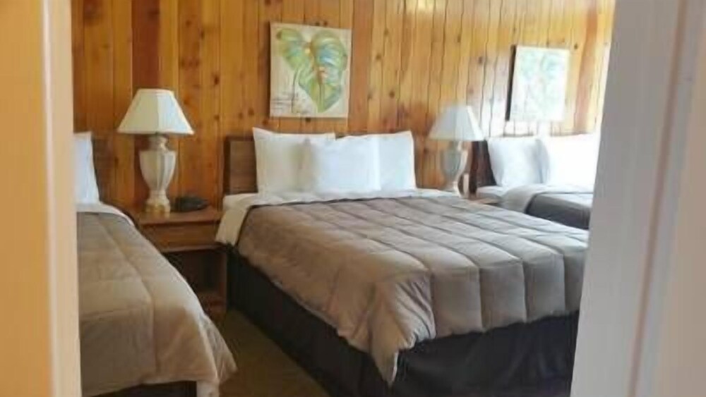 H Motel - photo 4