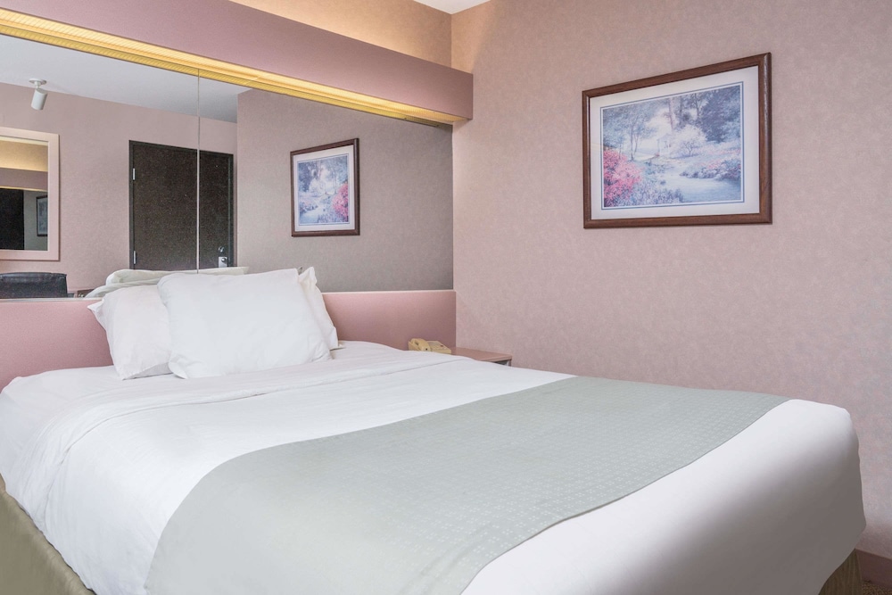 Microtel Inn by Wyndham Onalaska La Crosse - photo 3