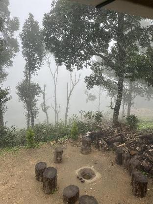 Rima leisure stays — Munnar — photo 3